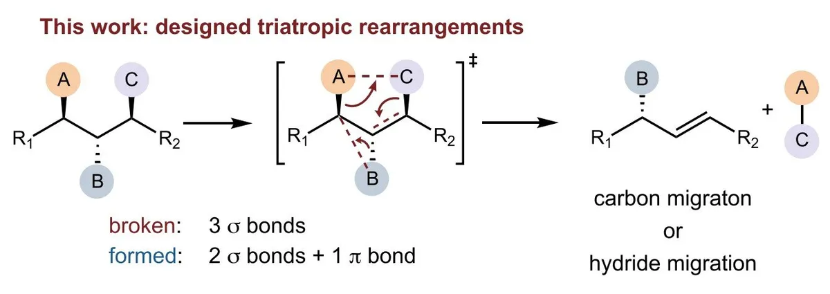 A new three-way single step rearrangement enables precise ring editing