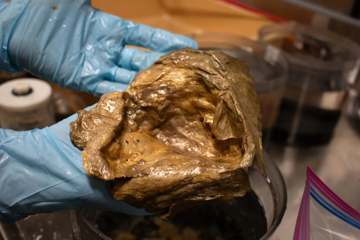 This Strange “Golden Orb” Found 2 Miles Deep Stumped Scientists for Years