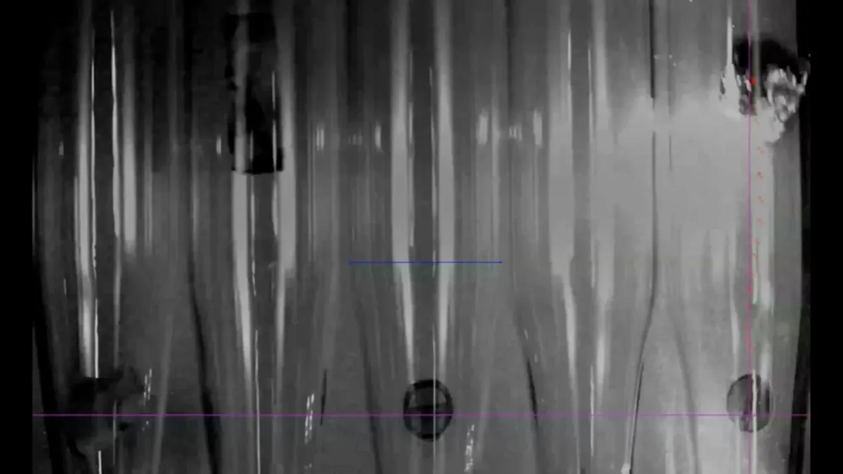 Article illustration