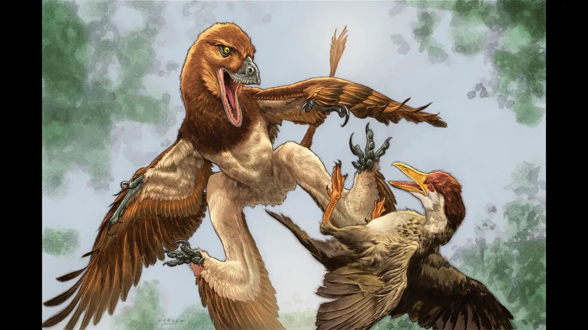 Article illustration