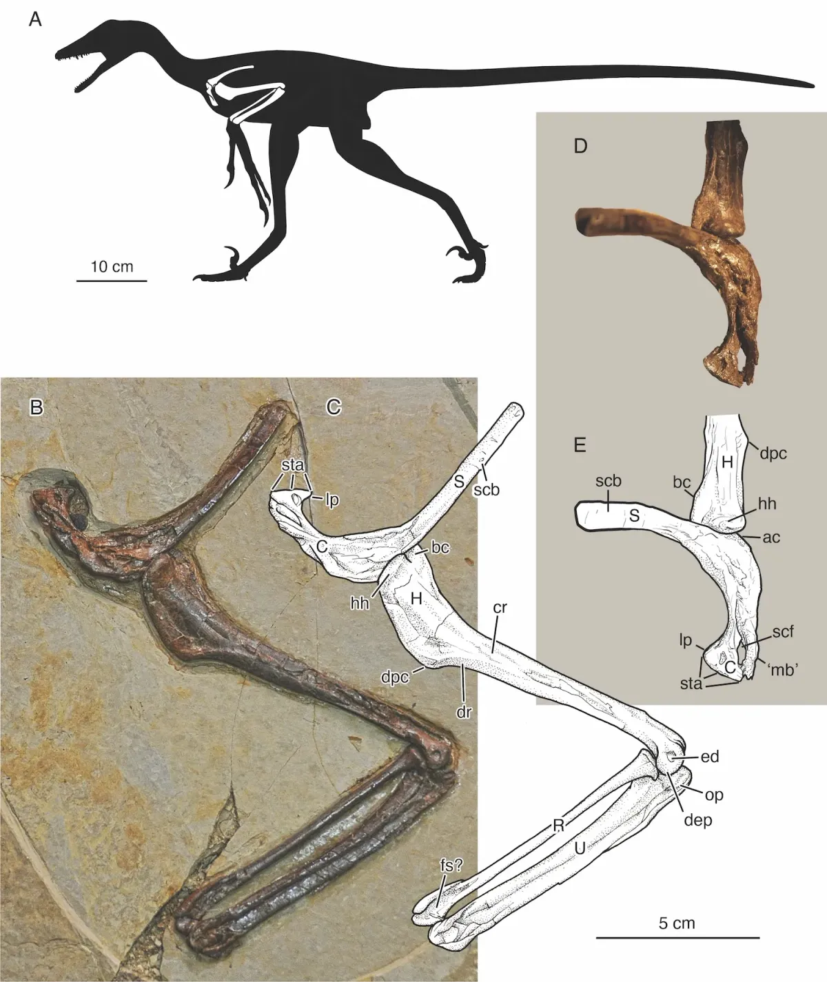 Article illustration