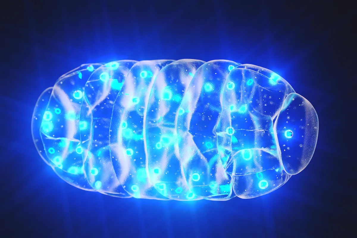 Scientists Discover a Hidden Cause of Cellular Aging That Can Be Reversed