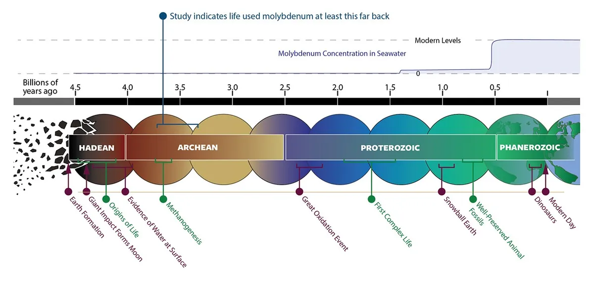 Earth's Earliest Life Was Picky, And Apparently Loved a Rare Metal