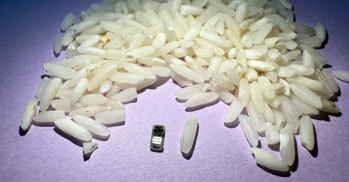 Rice-grain pacemaker dissolves after healing infant hearts