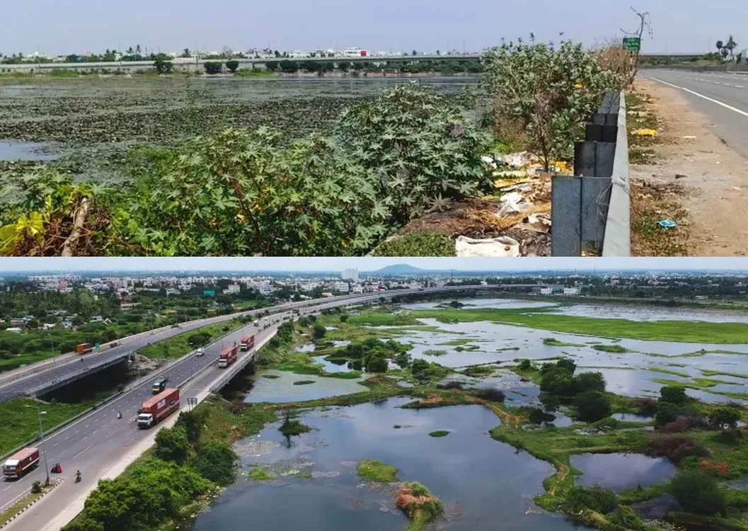 Divinely-Inspired Nonprofit Restores 600+ Sacred Water Sources Across India