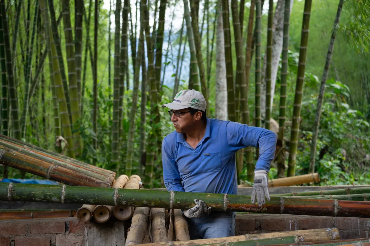 Article illustration