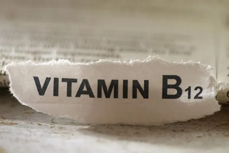 Scientists Solve a Vitamin B12 Mystery With an Unexpected Culprit