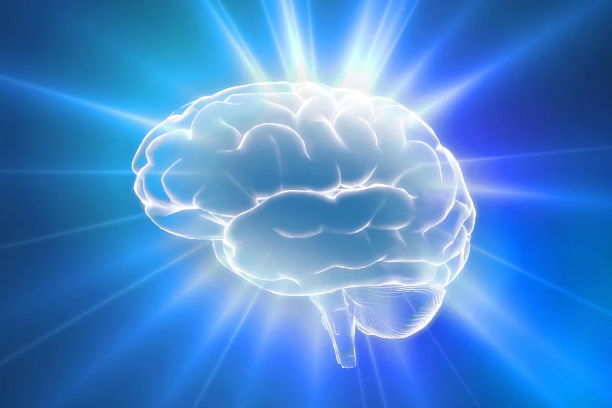 Your brain, not your muscles, builds exercise endurance