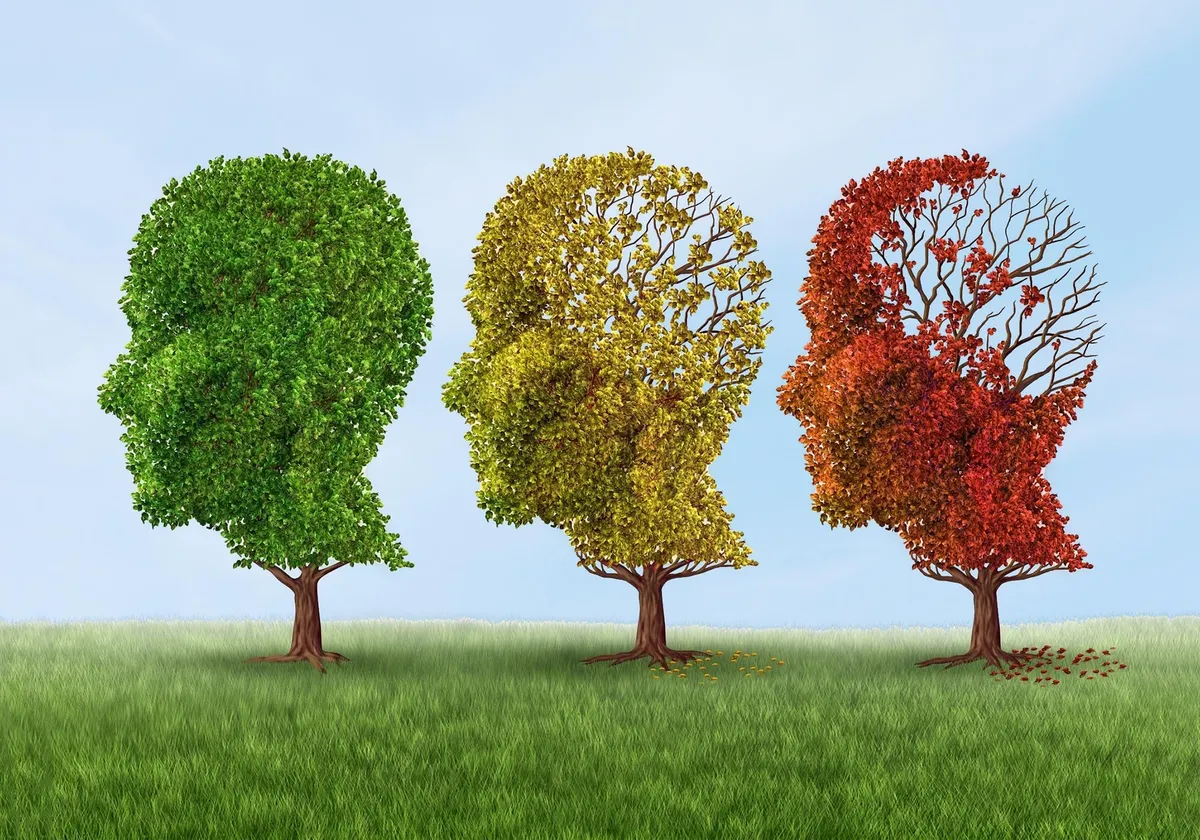 Reading, learning, and curiosity linked to 38% lower Alzheimer's risk