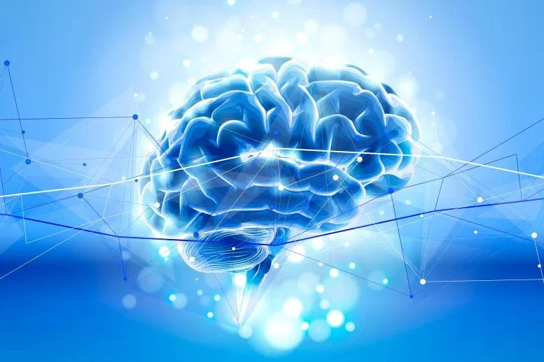 Scientists Find a Youth-Associated Protein That Rejuvenates Brain Immune Cells in Mice