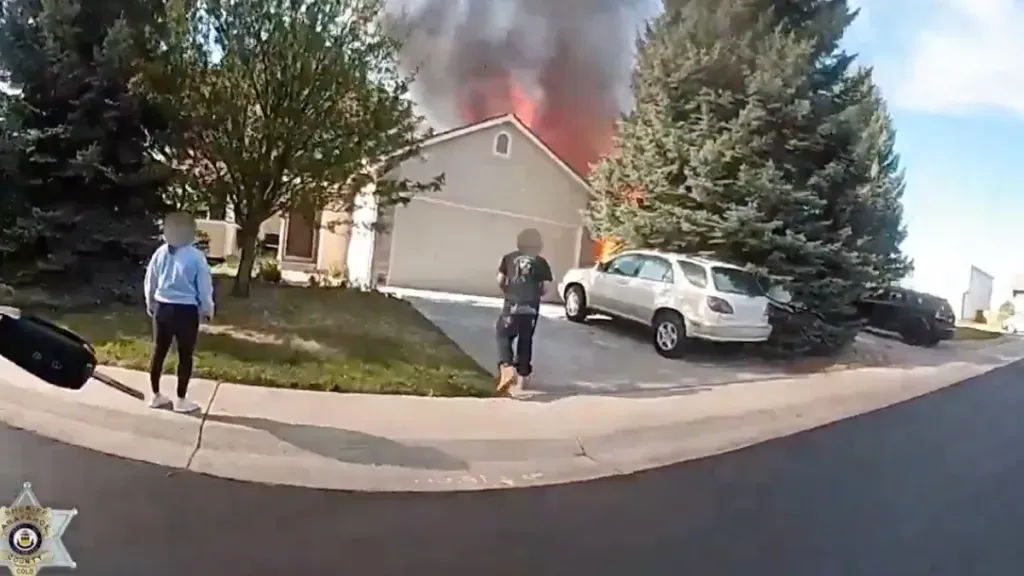 Article illustration