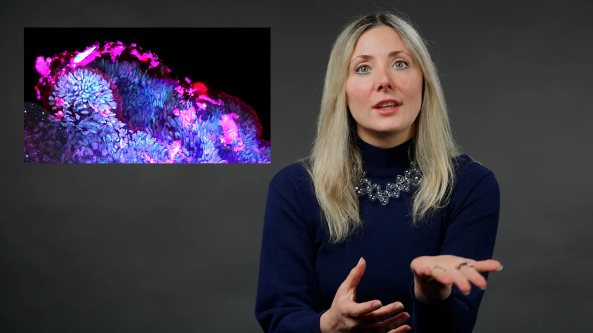 Scientists reprogram gut bacteria to fight infection and disease