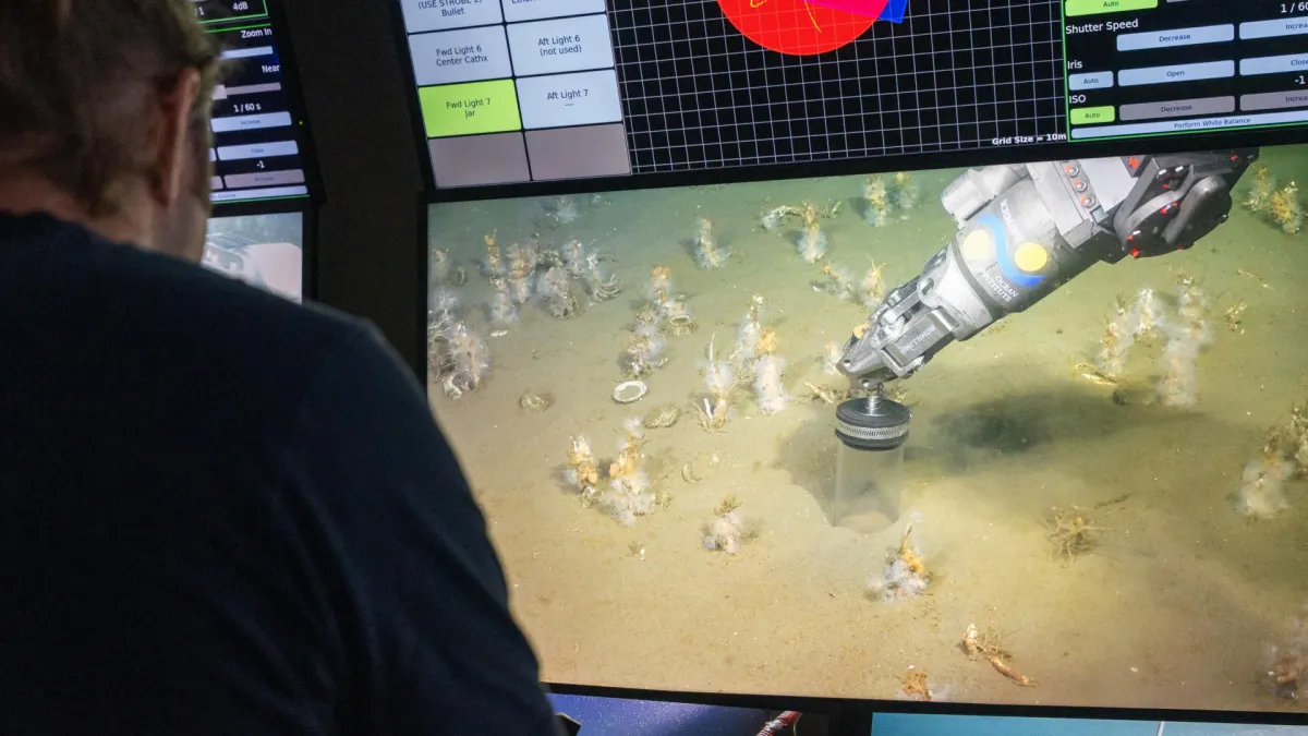 Scientists uncover oxygen-loving ancestor of all complex life