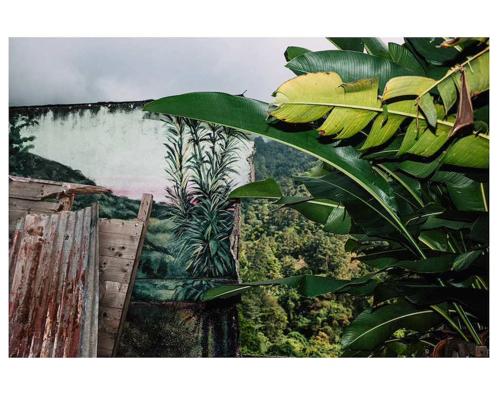 Artists donate 20 works to rebuild Jamaica and Los Angeles after disasters