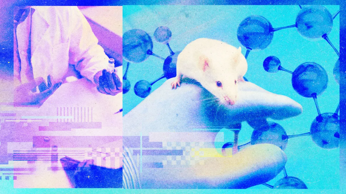 Article illustration
