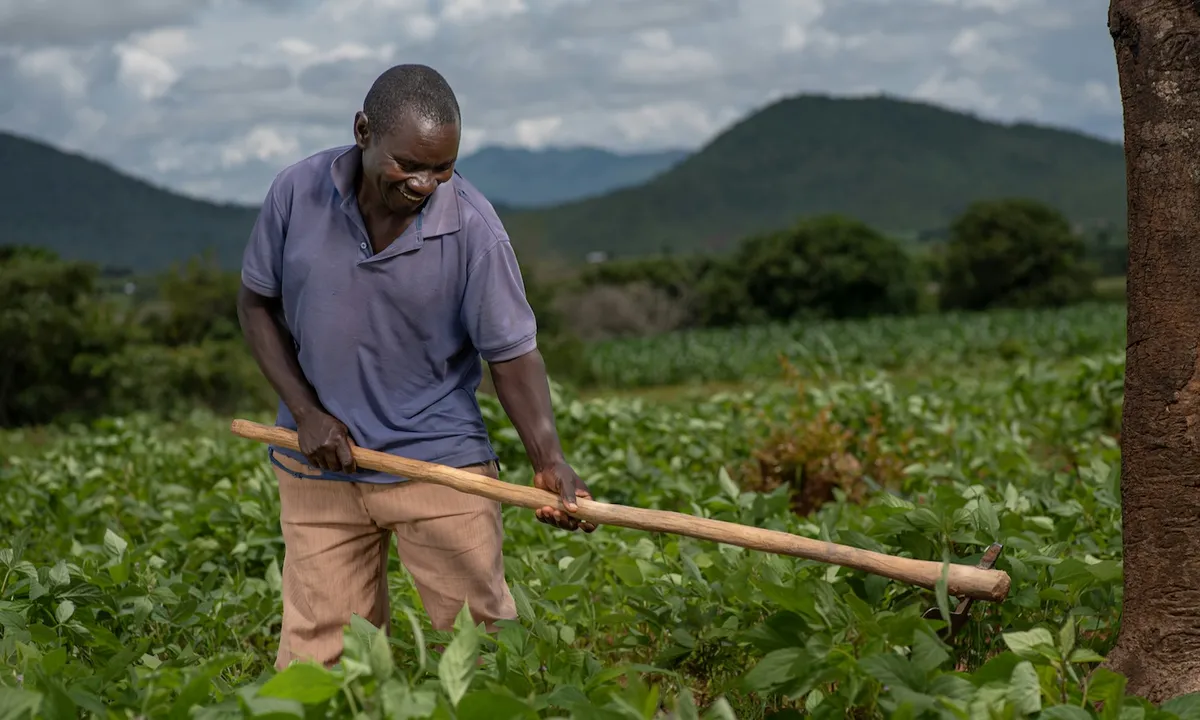 Investing in Resilience Will Help Farmers Weather the Super El Niño