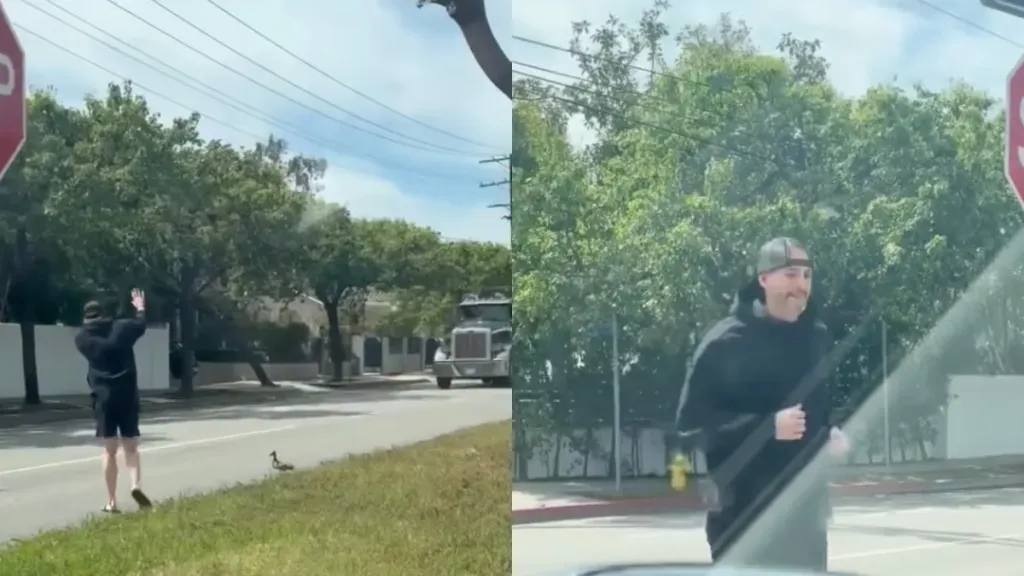 Article illustration