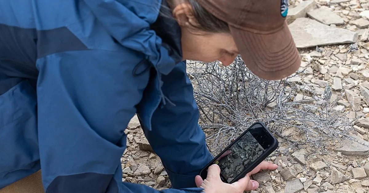 National park ranger photographs newly-discovered species for the first time while on the job