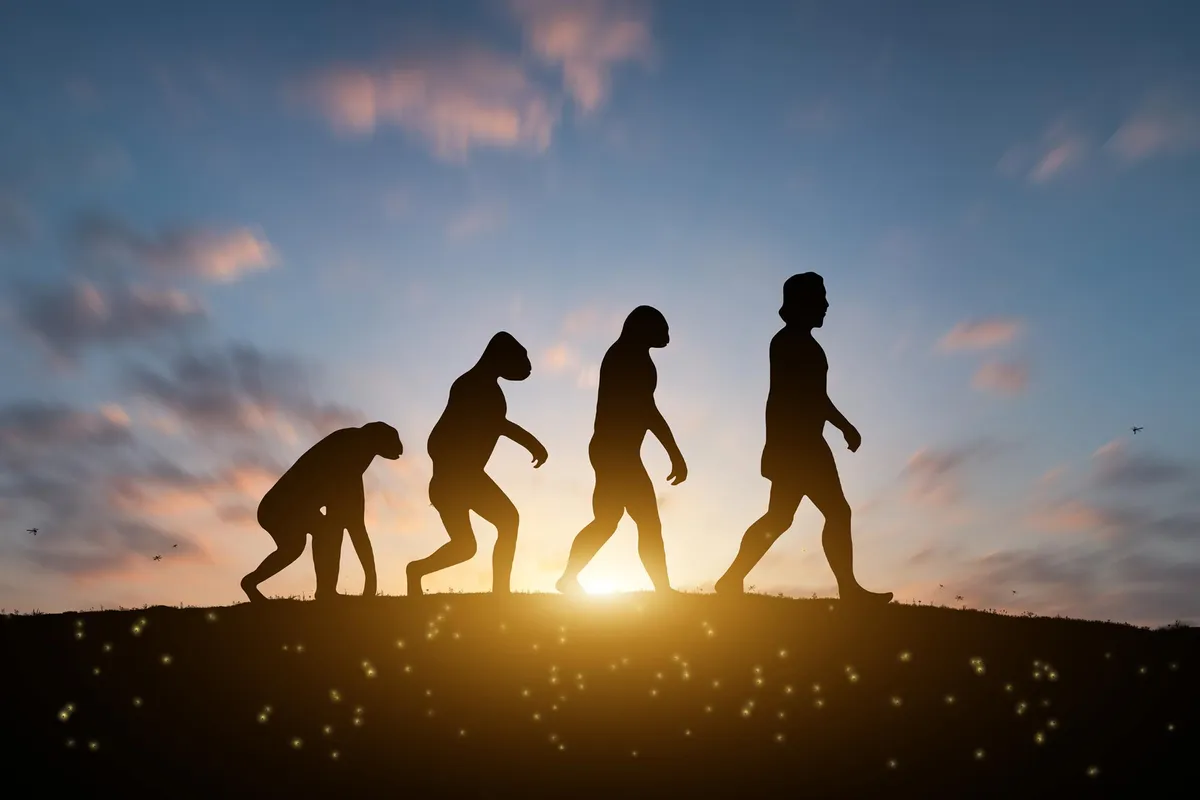 New Study Rewrites the Story of How Humans Got Bigger