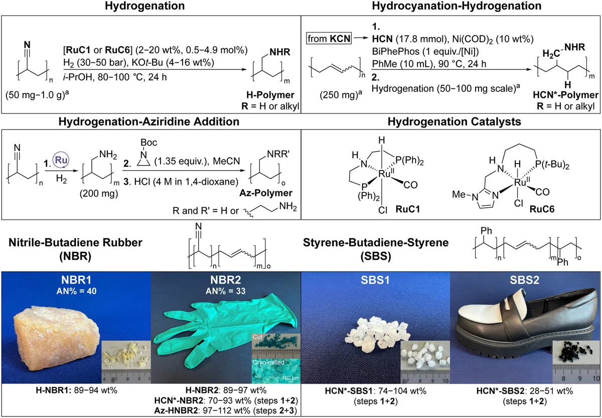 Discarded medical gloves become tools for capturing carbon