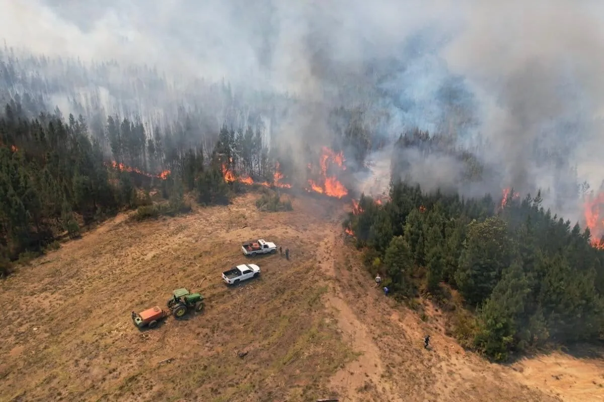 These Communities Are 'Growing' Their Own Fire Insurance