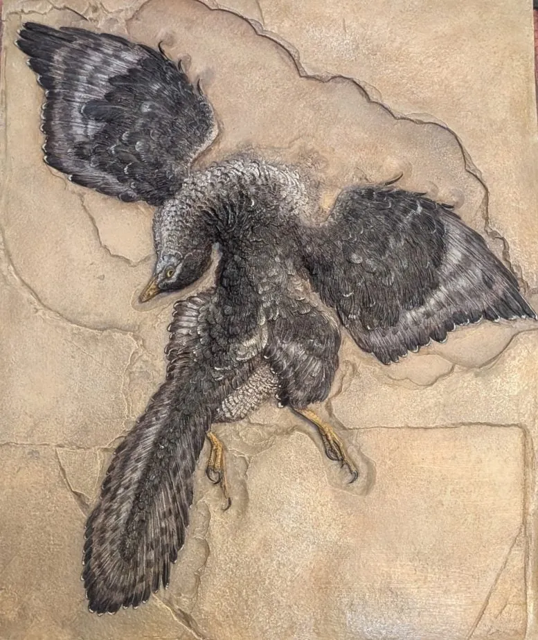 A 150-Million-Year-Old Dinosaur Flight Mystery May Finally Have an Answer
