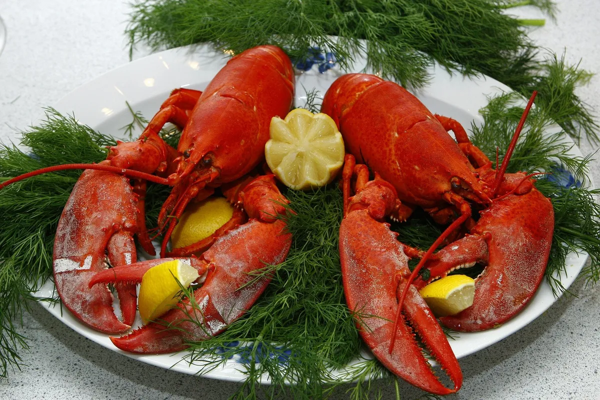 Consumers willing to pay more for lobster harvested with ropeless technology, study finds