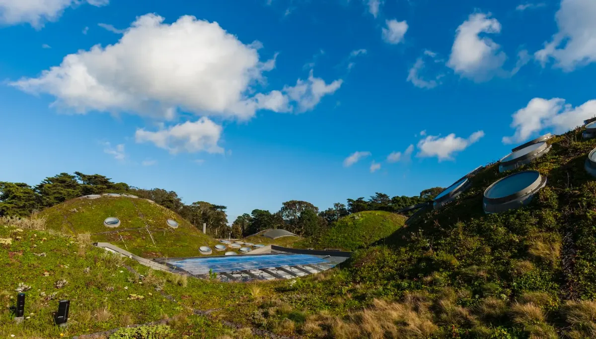 Article illustration