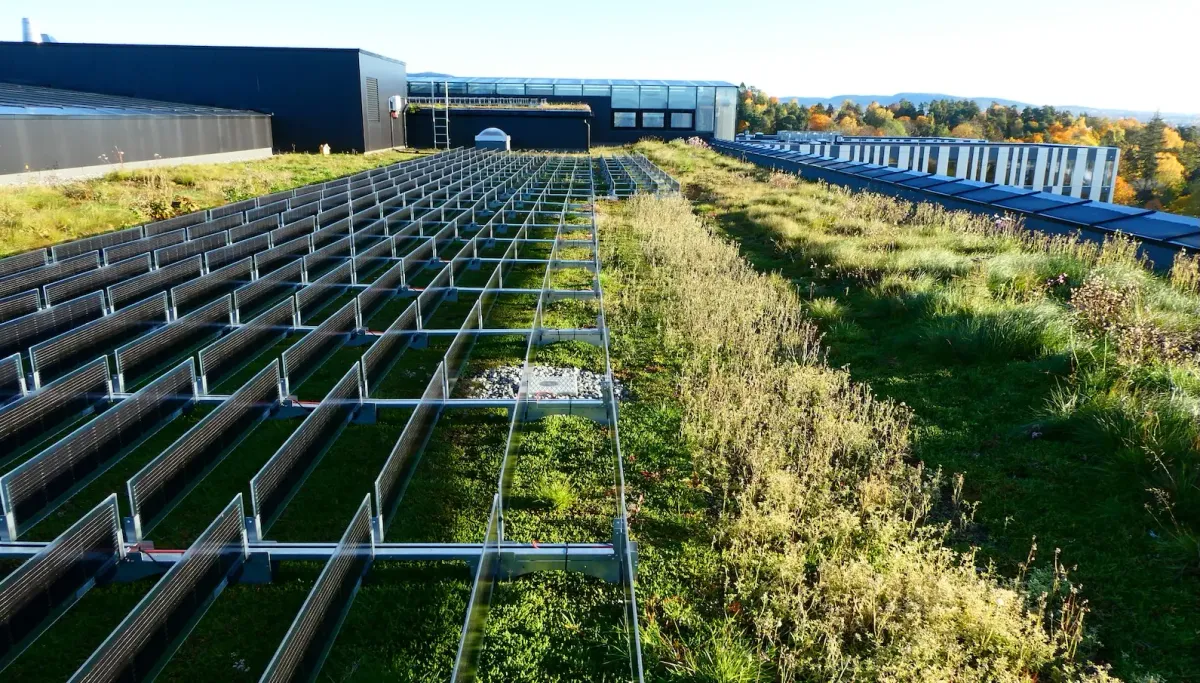 Article illustration