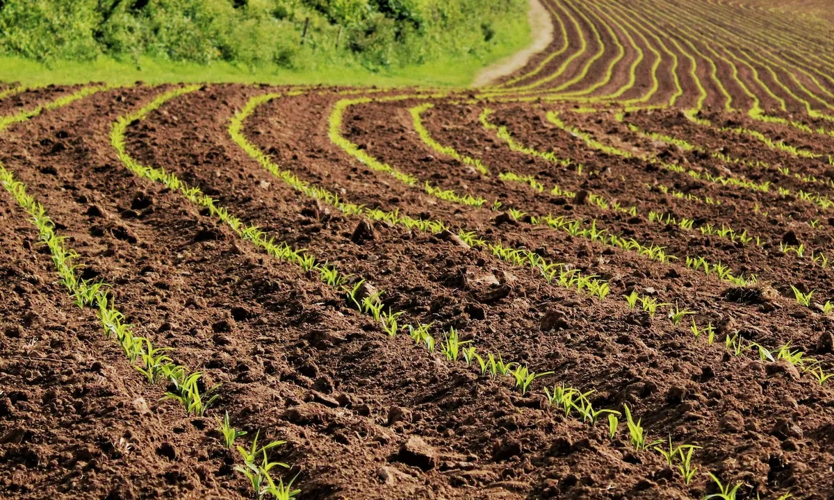 This California Farm Is Growing the Next Generation of Dirt Nerds
