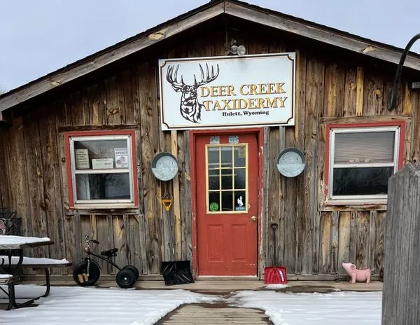 A Wyoming Road Trip Took a Wild Turn, Thanks to a Mountain Lion