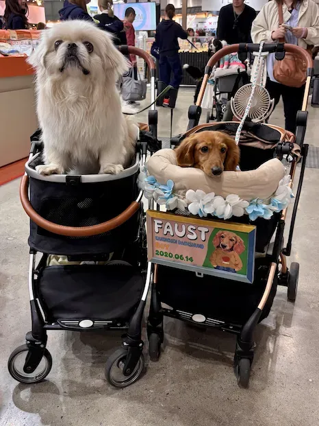 Two pets pose at the Interpets Conference on April 5, 2026