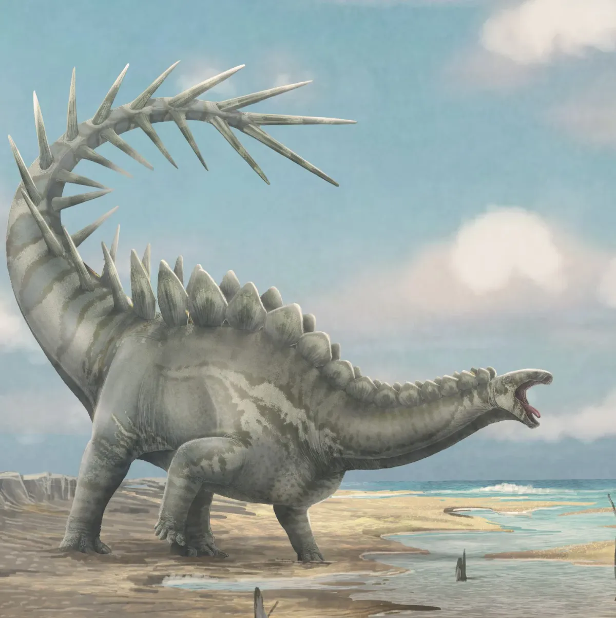 Rewriting Dinosaur Evolution: Scientists Unearth Remarkable 150-Million-Year-Old Stegosaur Skull