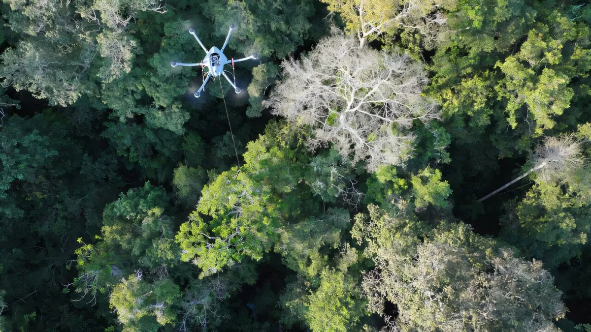 What's that critter? New tech guidelines can help ensure we get the right answer