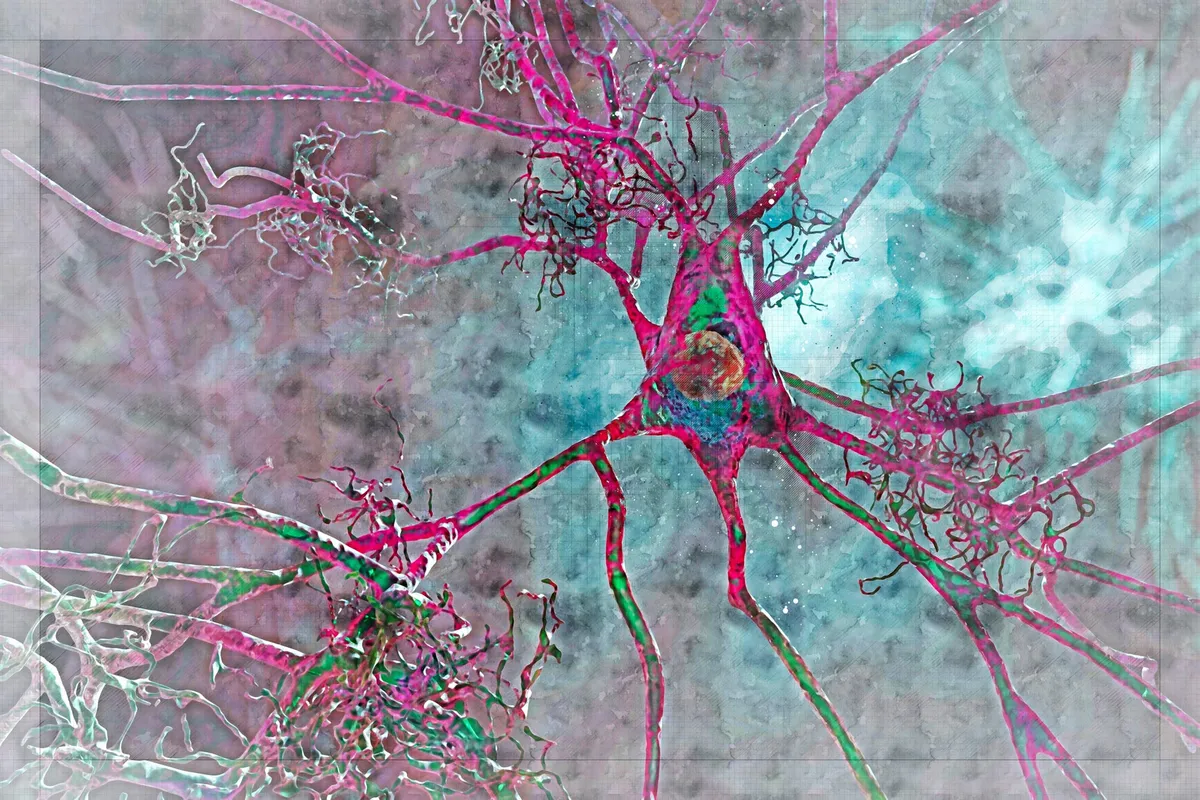 Simple blood flow test may spot Alzheimer's risk years early