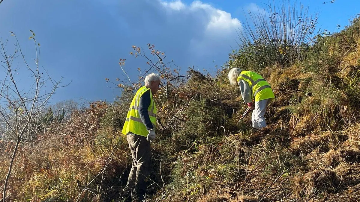 Two people in high-visibility yellow vests are perched on the side of a steep hill under a sunny, cloudless sky, working to clear bracken.