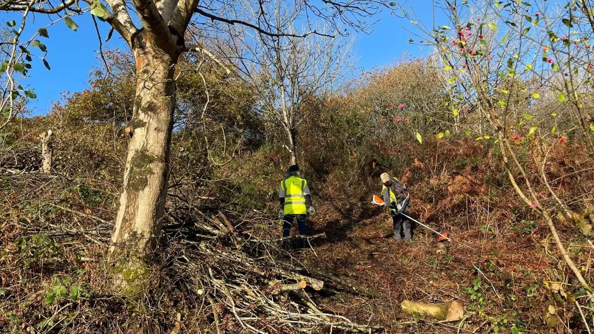 Two people in high-visibility yellow vests are working on a hillside, clearing branches and bracken, leaving a more open area of land.