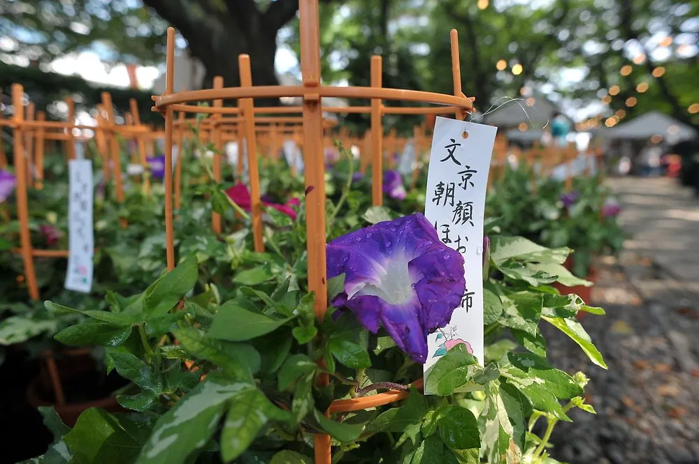 These Five Fantastic Events Are Worth Traveling For