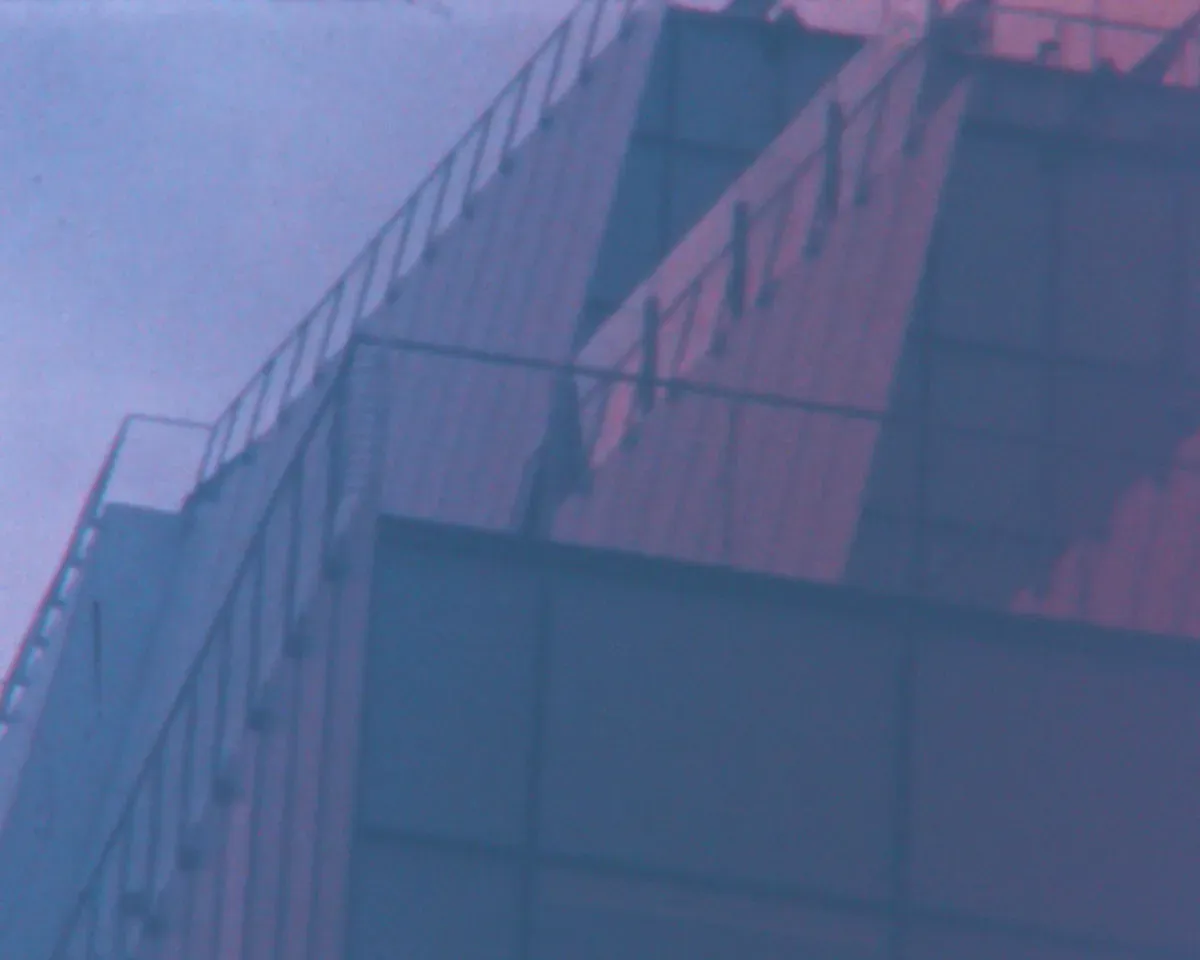 Frieze New York Just Got a $50,000 Shopping Spree and a Whitney Makeover