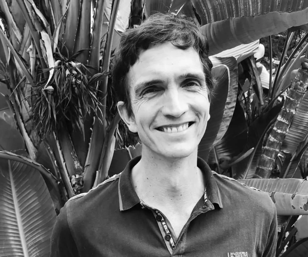 Article illustration