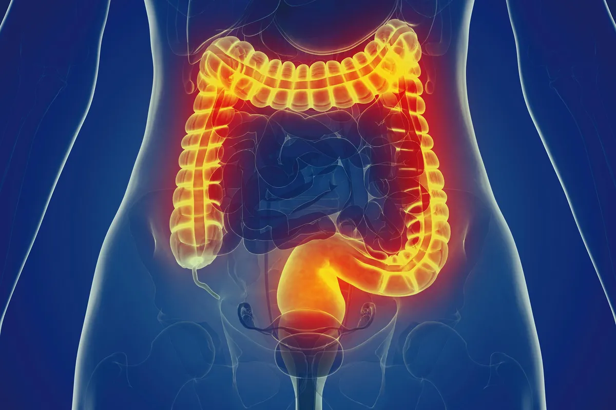 Scientists Flipped an Immune Switch, Found a New Path to Stop Gut Woes