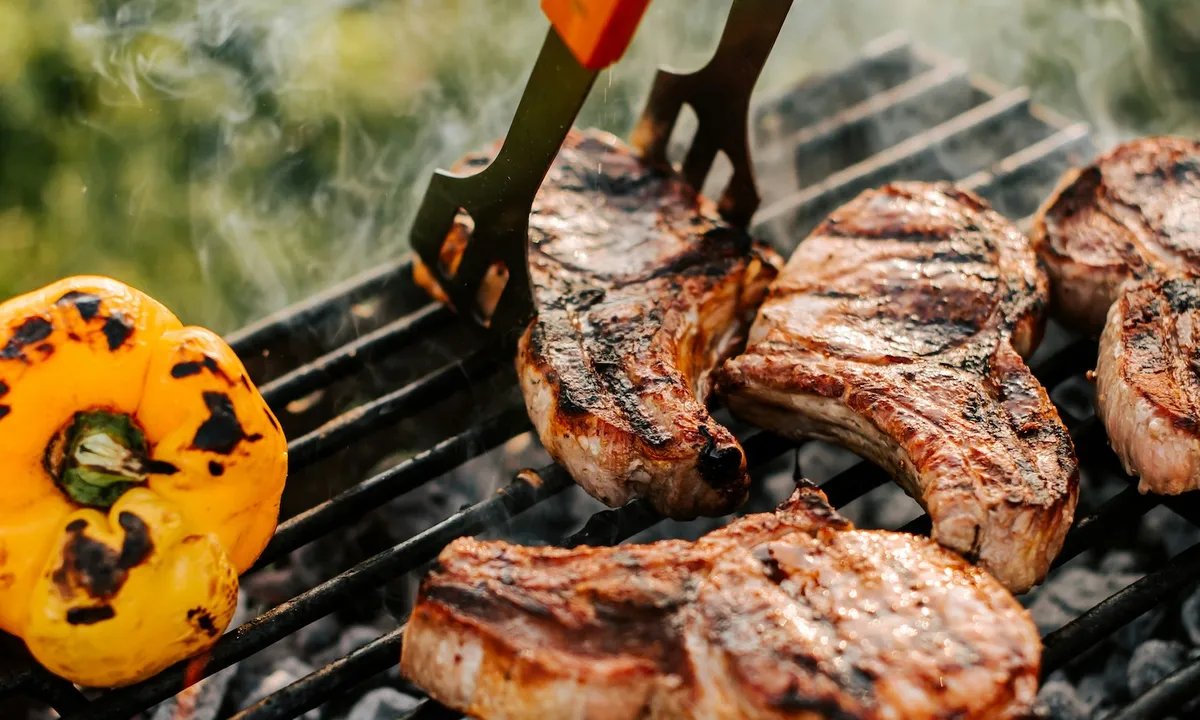 Why plant-based meat is a science problem, not a cooking one