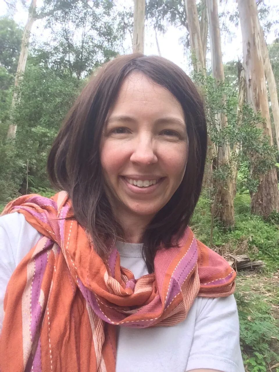 Article illustration