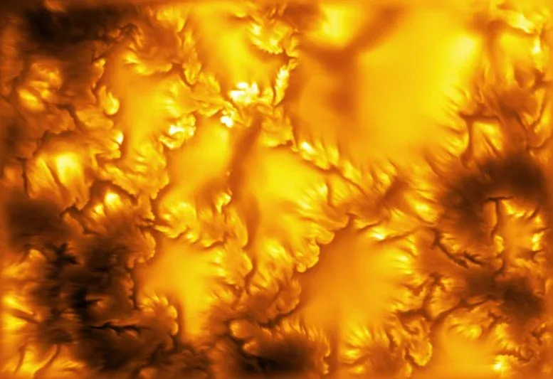Never-Before-Seen Vortices Are Swirling Across the Sun