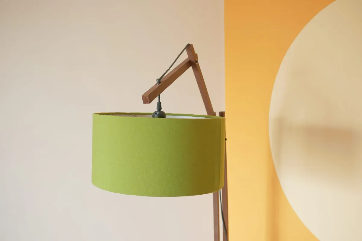 Article illustration