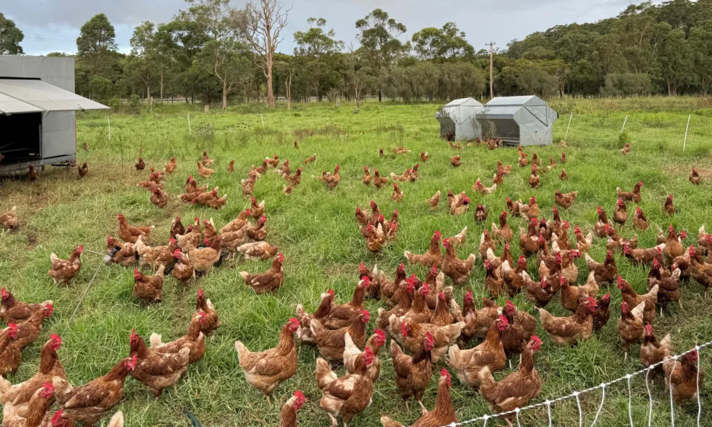 How an Opera Singer Found Connection Through Farming