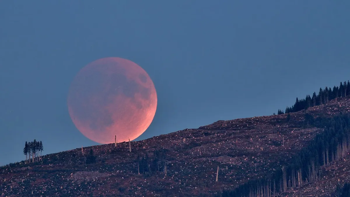 What’s Up: August 2026 Skywatching Tips from NASA