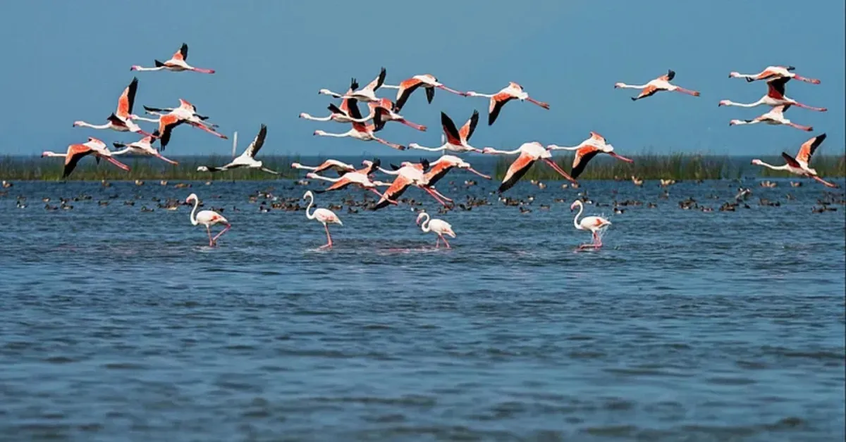 Indian communities are using clever, ancient tricks to save water for everyone