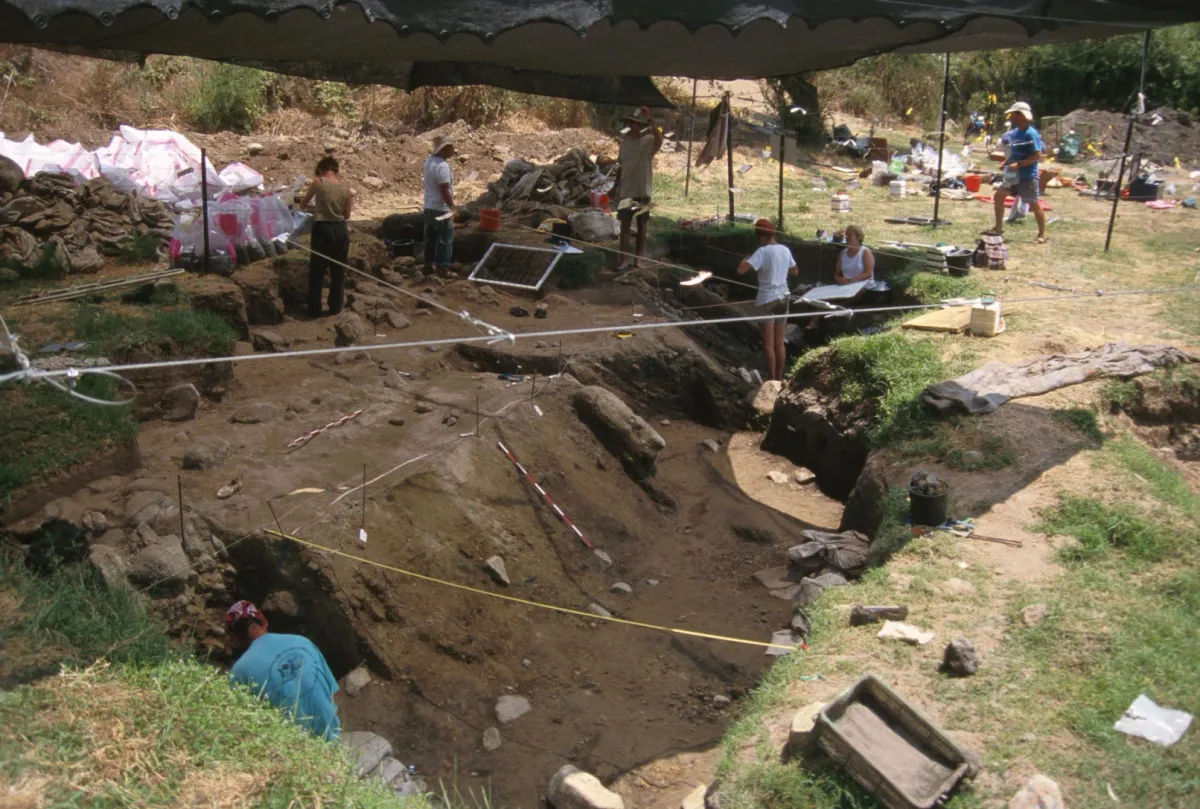 Scientists Uncover What Kept Humanity’s First Campfires Burning 780,000 Years Ago