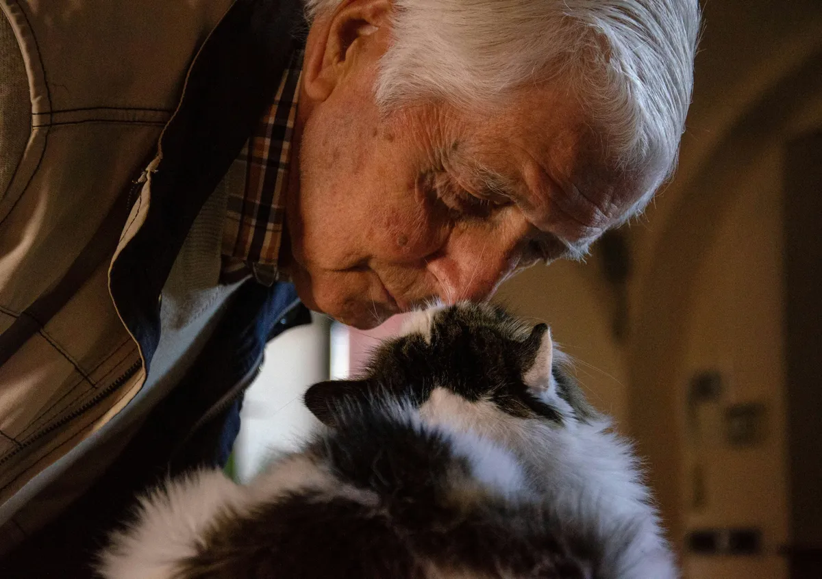 Cats age like humans—could studying their brains reveal healthy aging secrets?